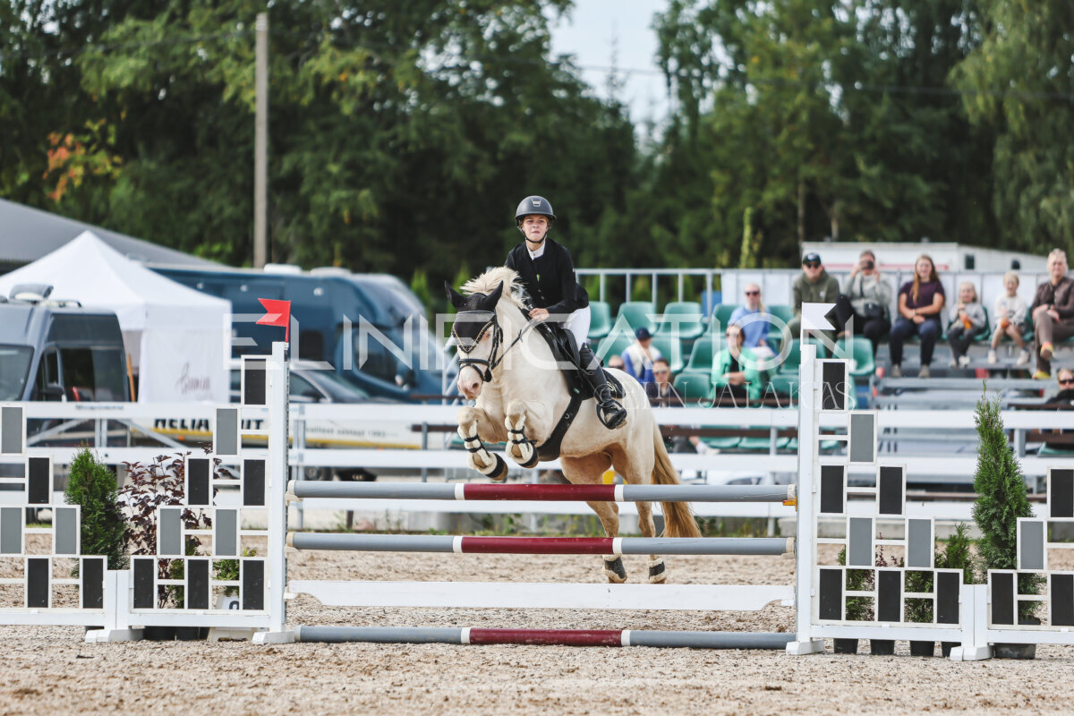 NHTS_2026_3_hc85-95cm_34