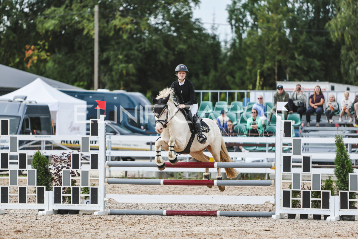 NHTS_2026_3_hc85-95cm_35