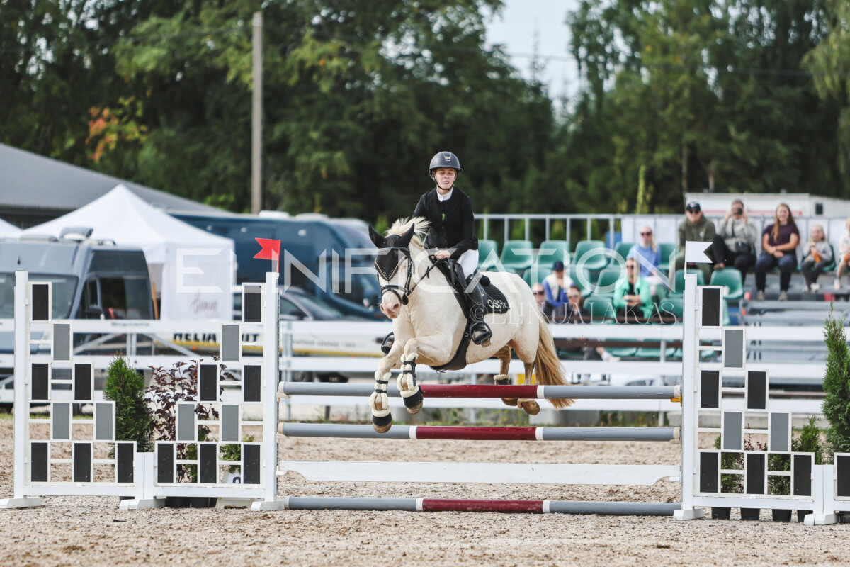NHTS_2026_3_hc85-95cm_36