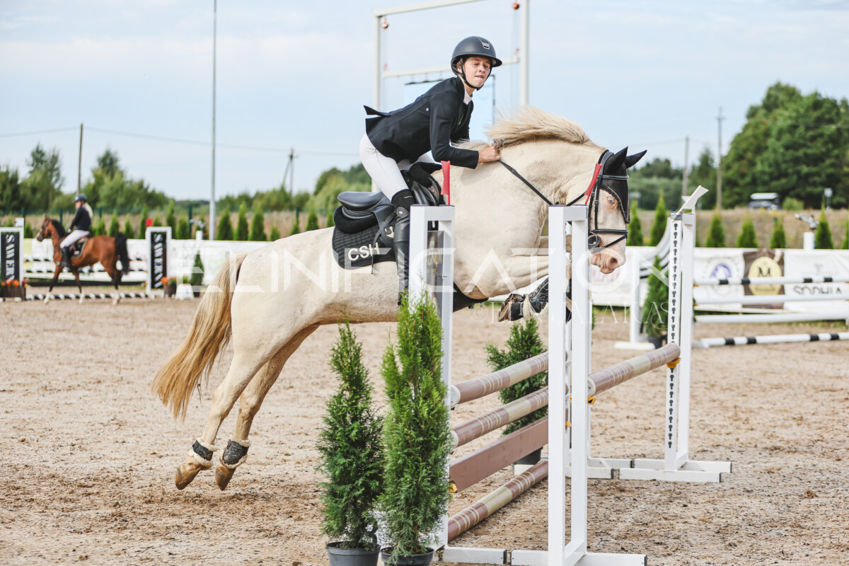 NHTS_2026_3_hc85-95cm_37