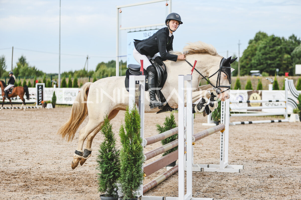NHTS_2026_3_hc85-95cm_38