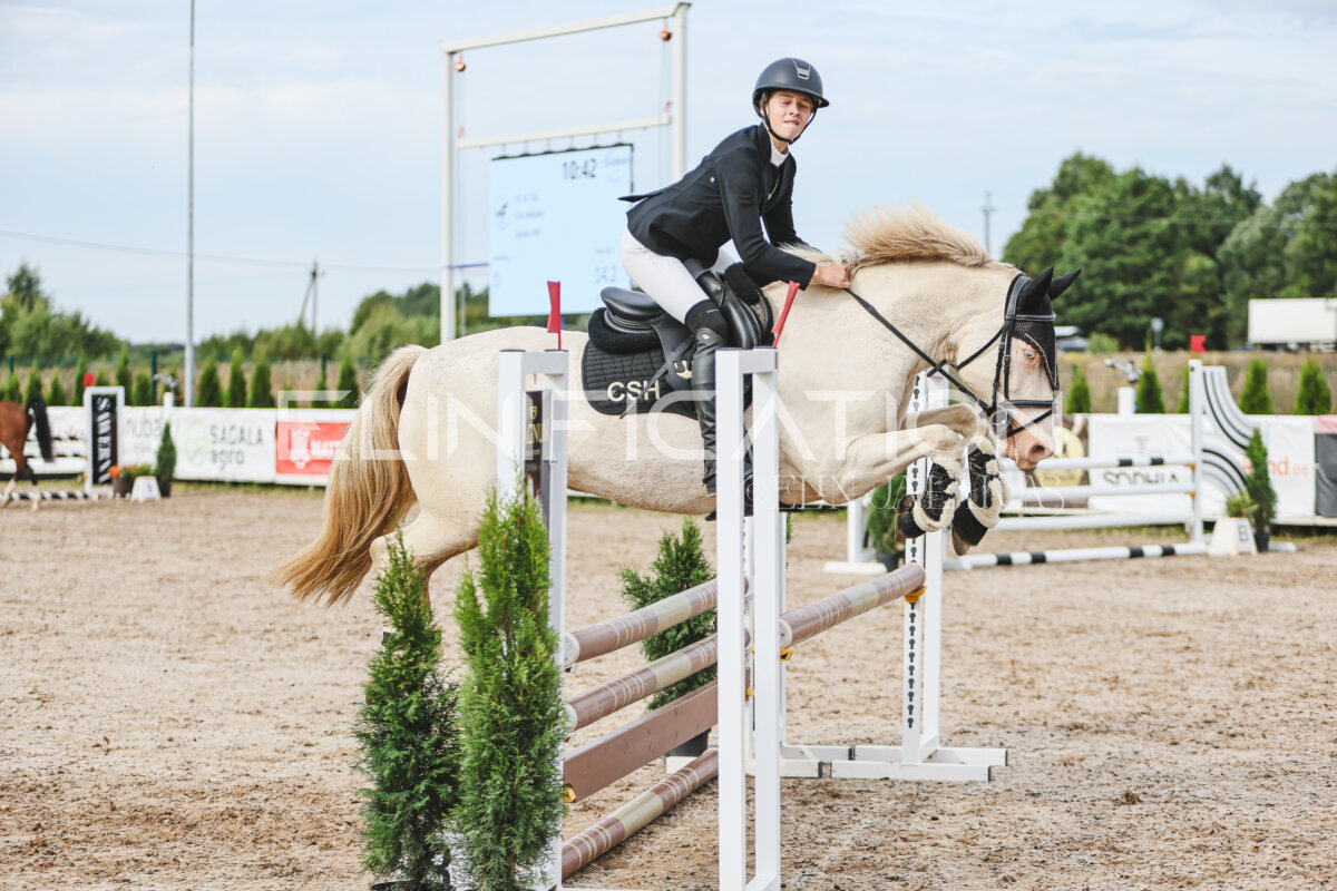 NHTS_2026_3_hc85-95cm_39