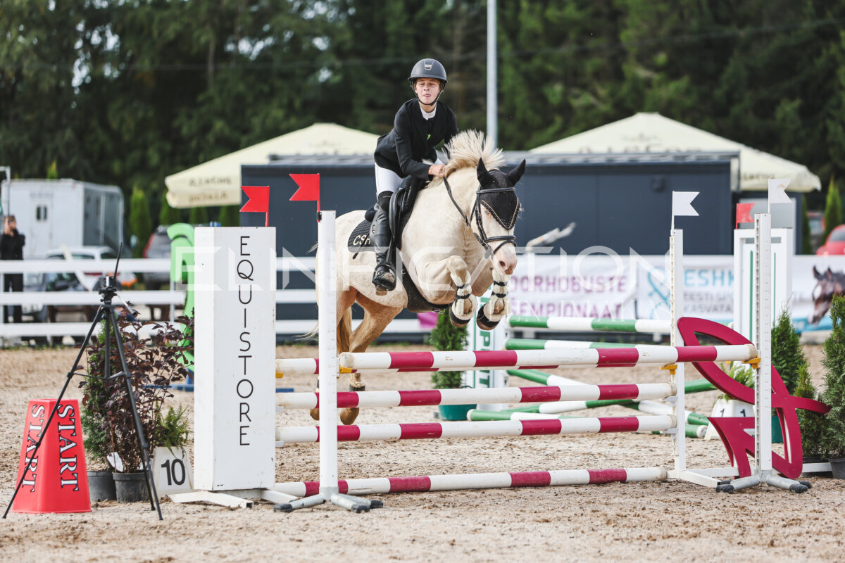 NHTS_2026_3_hc85-95cm_47