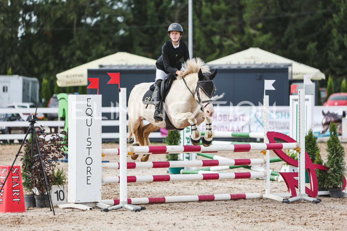 NHTS_2026_3_hc85-95cm_48