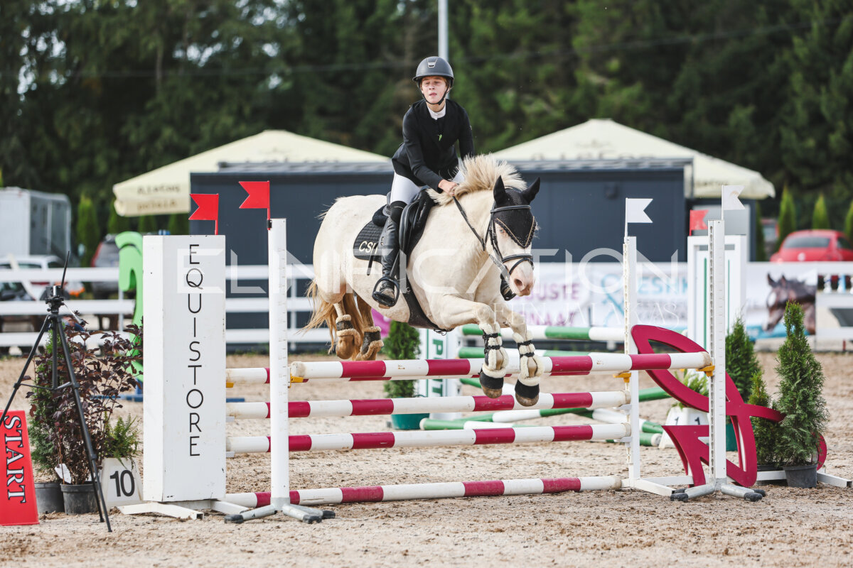 NHTS_2026_3_hc85-95cm_49