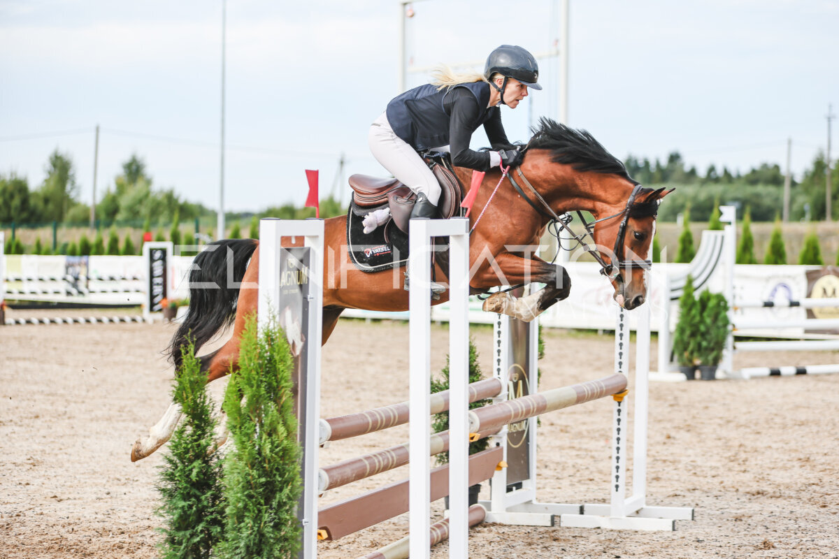 NHTS_2026_3_hc85-95cm_50