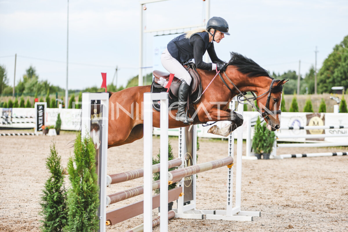 NHTS_2026_3_hc85-95cm_51