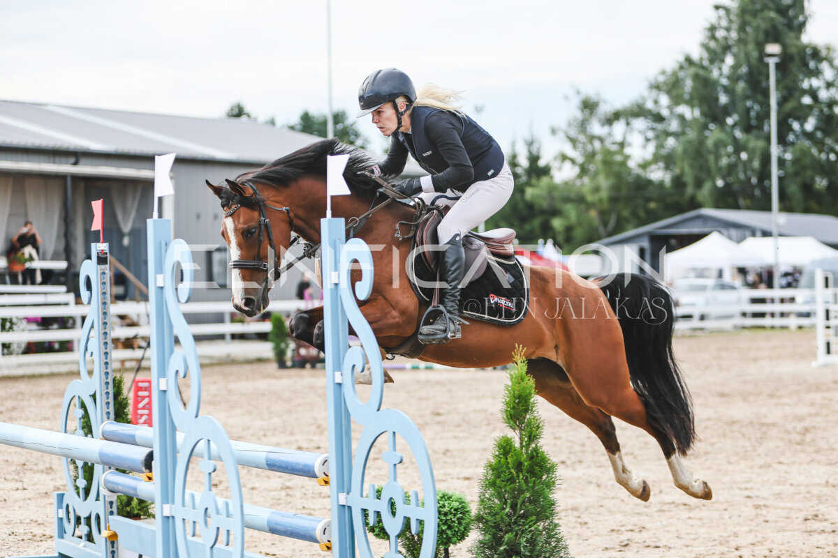 NHTS_2026_3_hc85-95cm_52