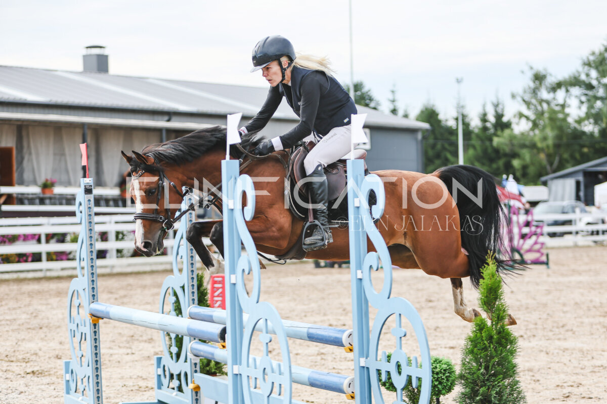NHTS_2026_3_hc85-95cm_53