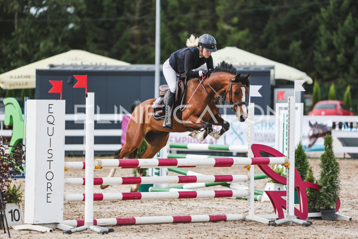 NHTS_2026_3_hc85-95cm_55