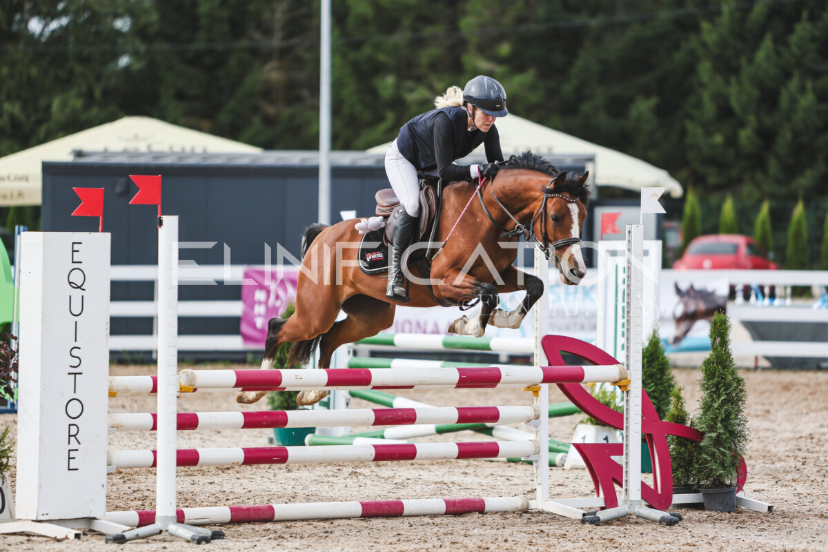 NHTS_2026_3_hc85-95cm_56