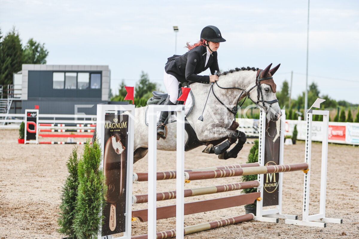 NHTS_2026_3_hc85-95cm_58