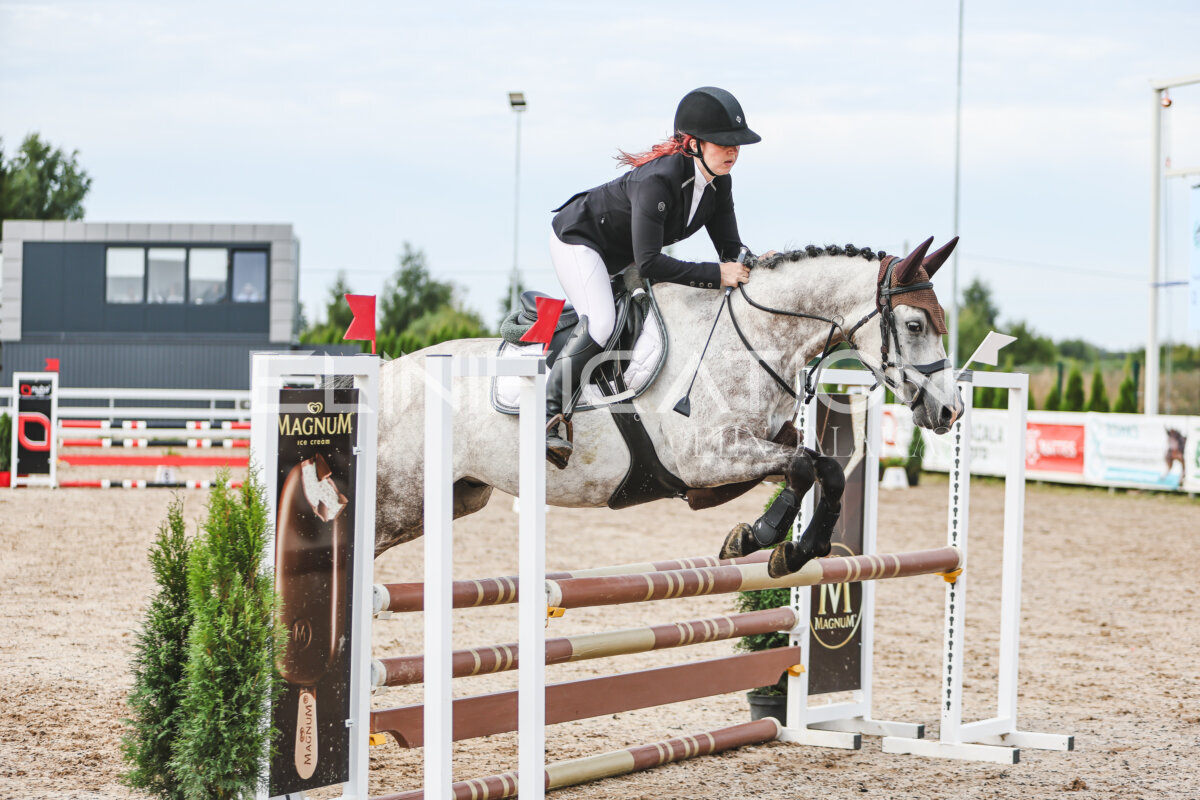 NHTS_2026_3_hc85-95cm_59