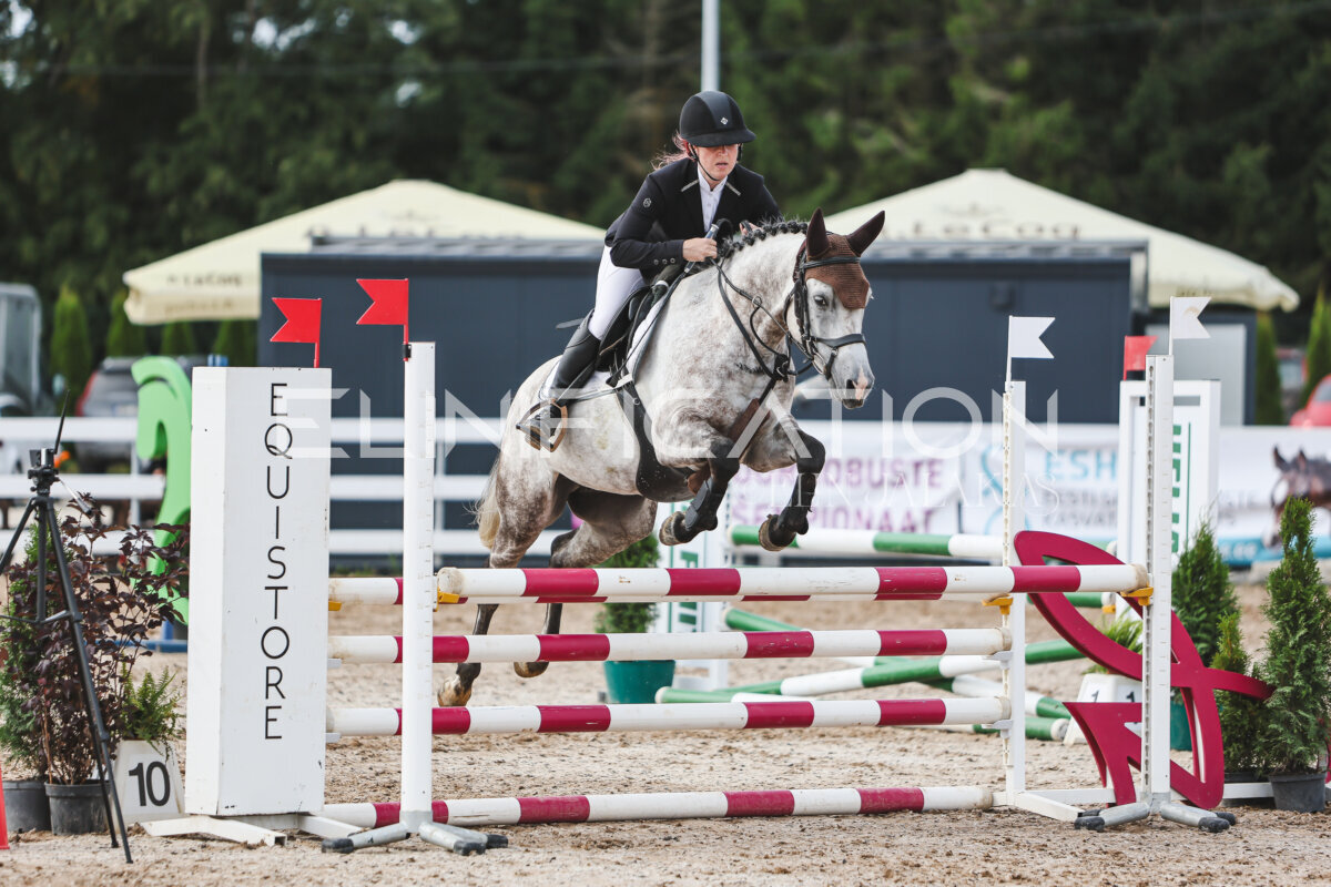 NHTS_2026_3_hc85-95cm_64