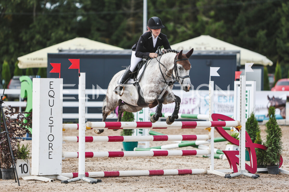 NHTS_2026_3_hc85-95cm_65