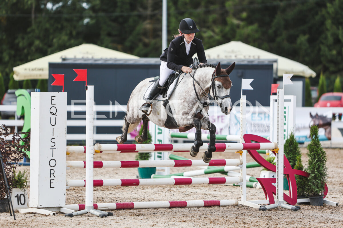 NHTS_2026_3_hc85-95cm_66