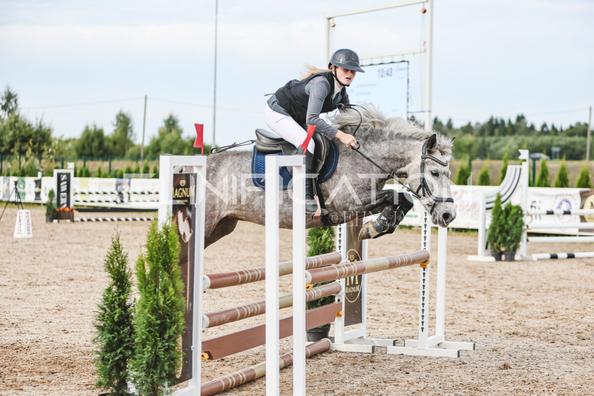 NHTS_2026_3_hc85-95cm_69