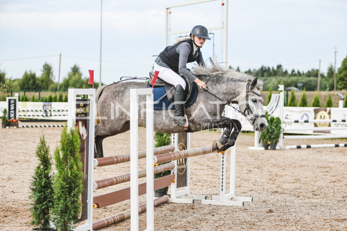 NHTS_2026_3_hc85-95cm_70