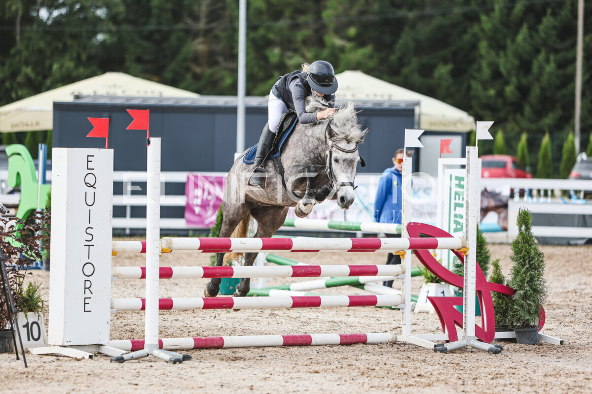 NHTS_2026_3_hc85-95cm_74