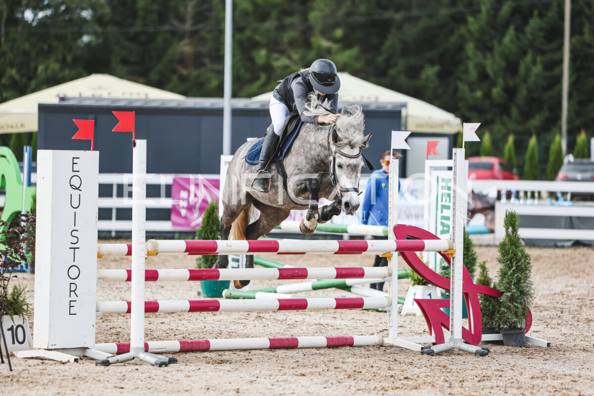 NHTS_2026_3_hc85-95cm_75