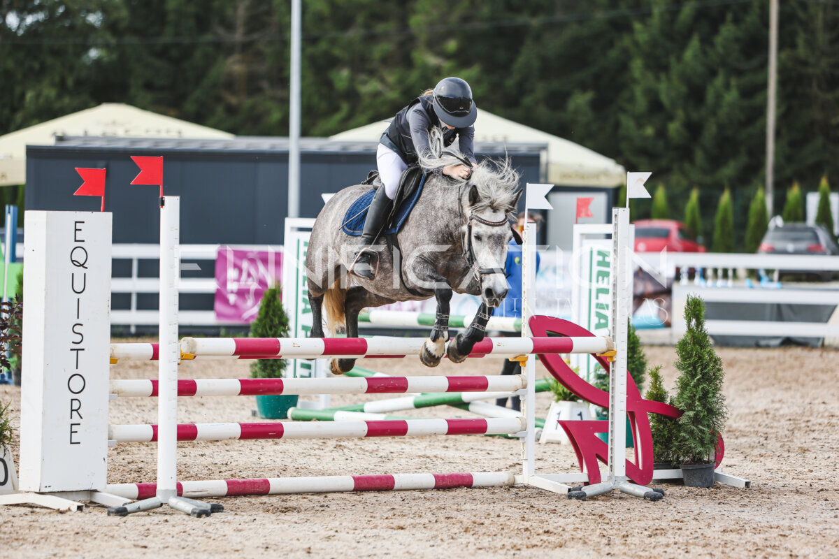 NHTS_2026_3_hc85-95cm_76