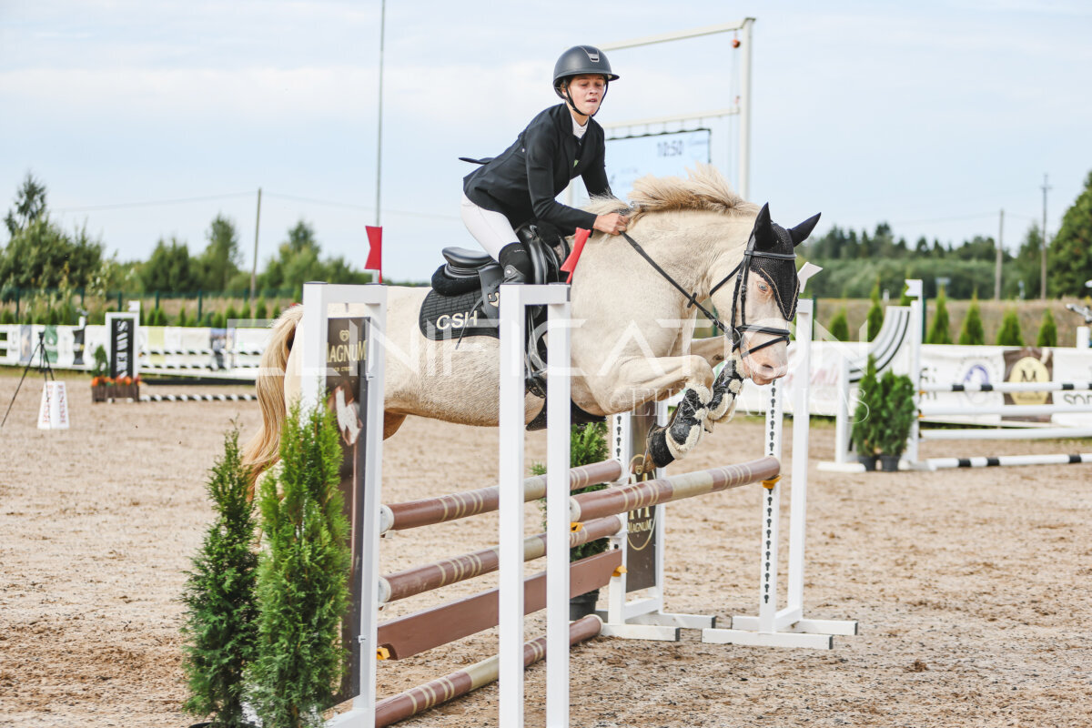 NHTS_2026_3_hc85-95cm_77