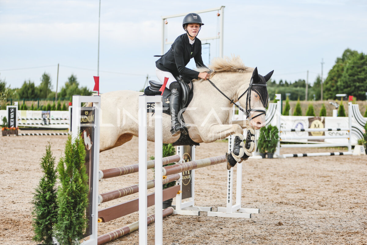 NHTS_2026_3_hc85-95cm_78