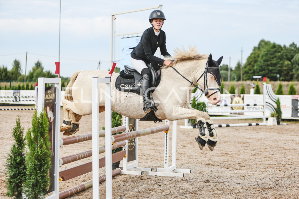NHTS_2026_3_hc85-95cm_79
