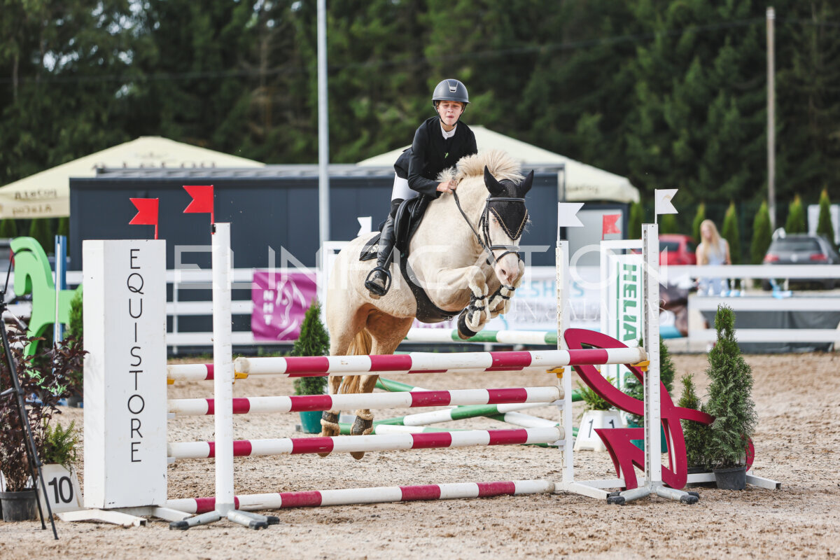NHTS_2026_3_hc85-95cm_80