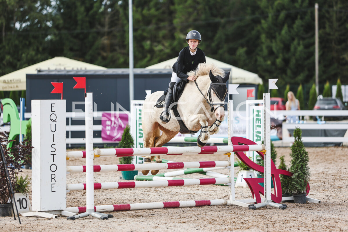 NHTS_2026_3_hc85-95cm_81