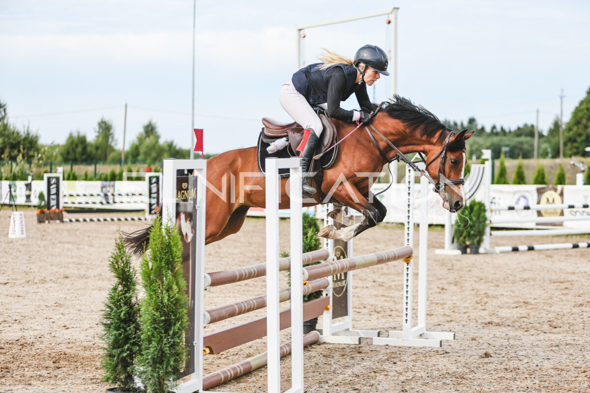 NHTS_2026_3_hc85-95cm_82