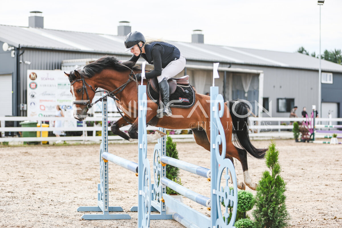 NHTS_2026_3_hc85-95cm_83