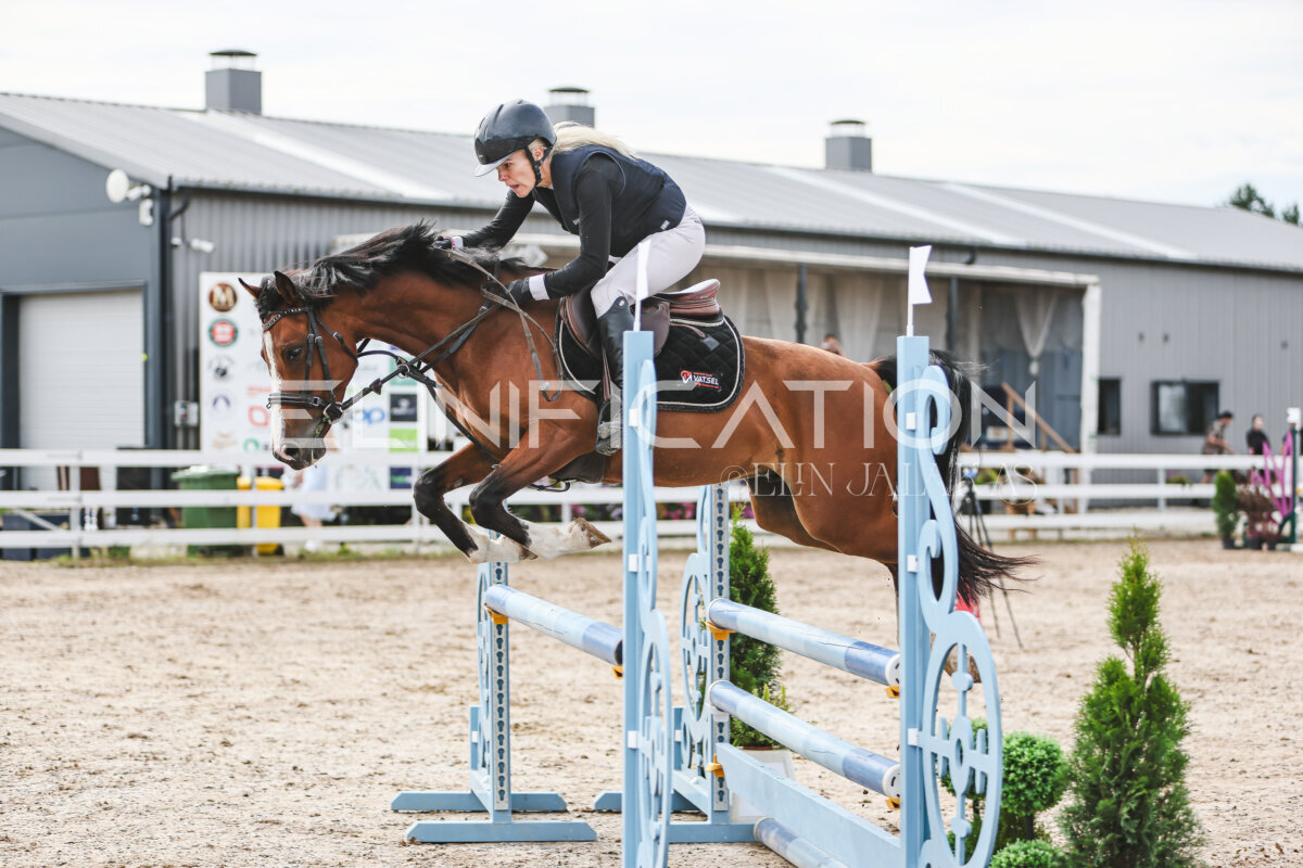 NHTS_2026_3_hc85-95cm_84