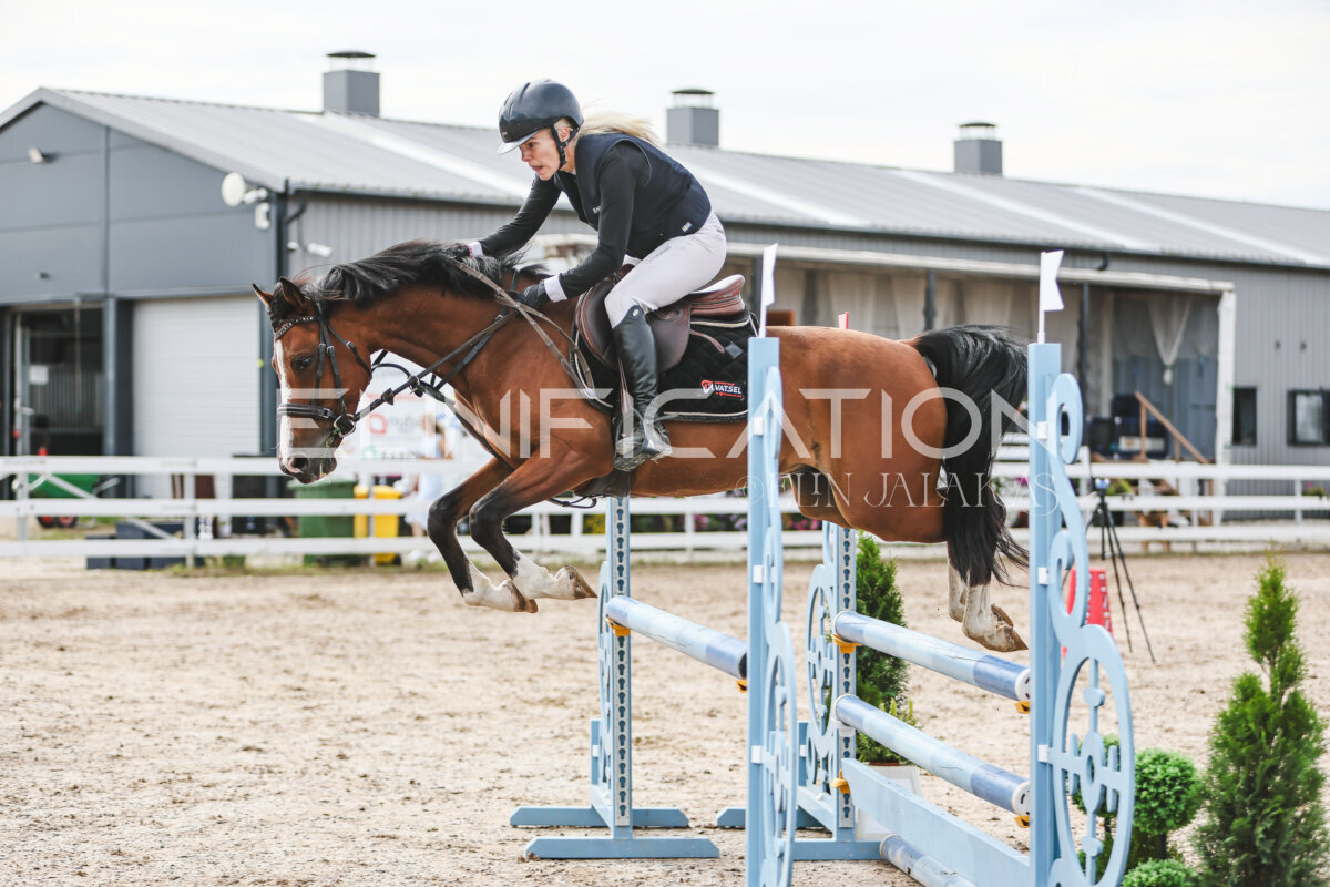 NHTS_2026_3_hc85-95cm_85