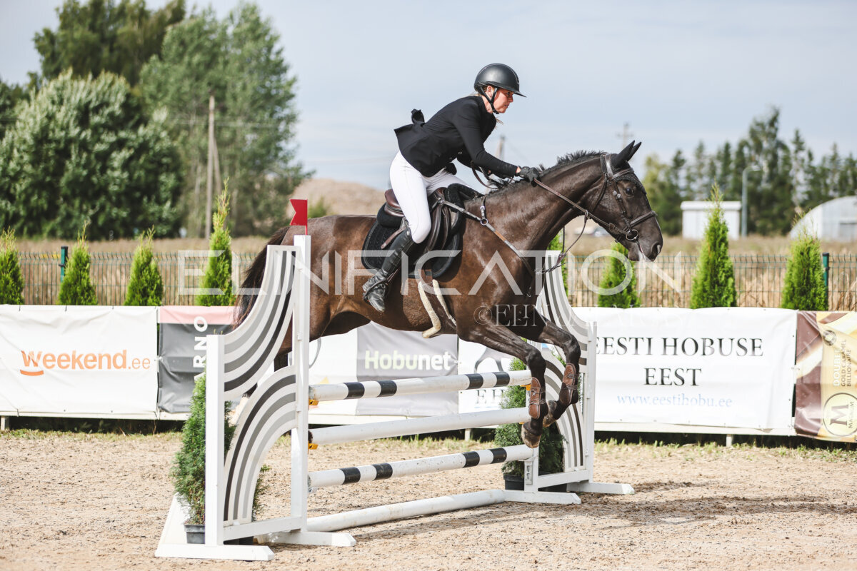 NHTS_2026_4_95cm_002