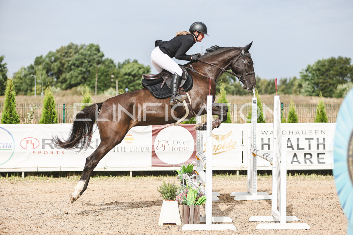 NHTS_2026_4_95cm_003