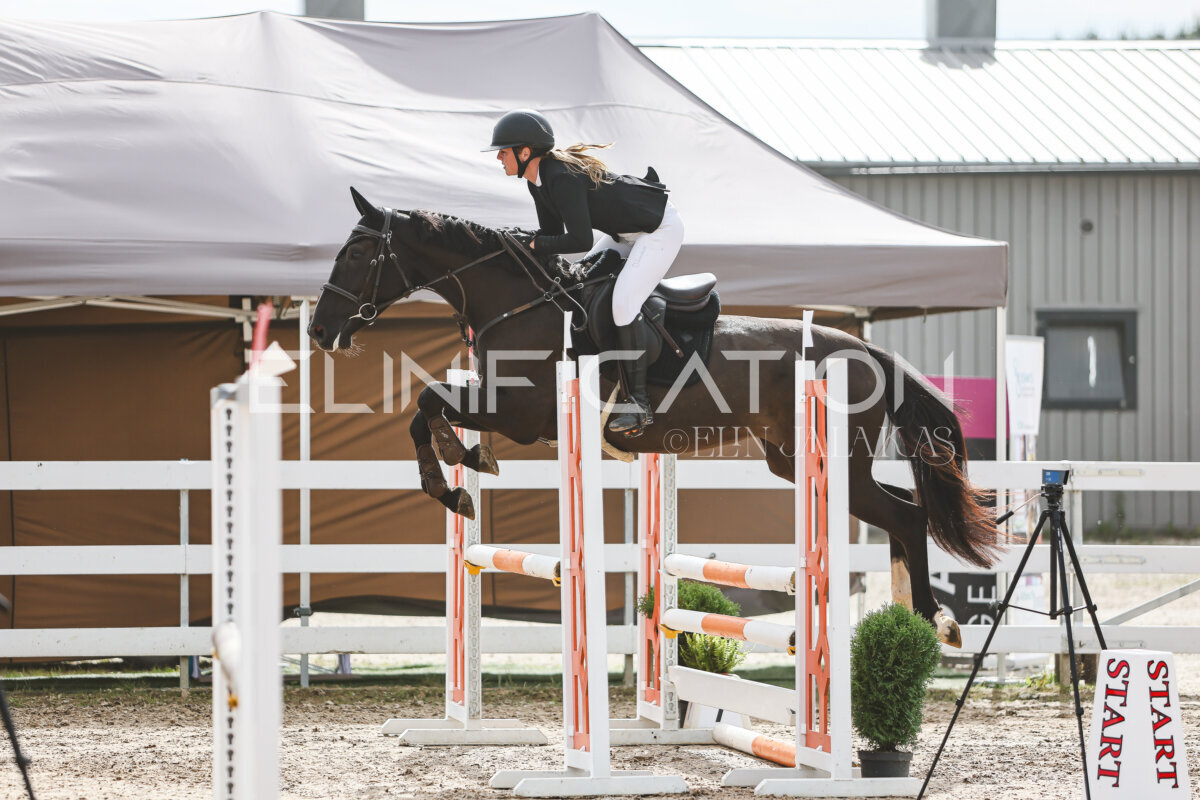 NHTS_2026_4_95cm_009