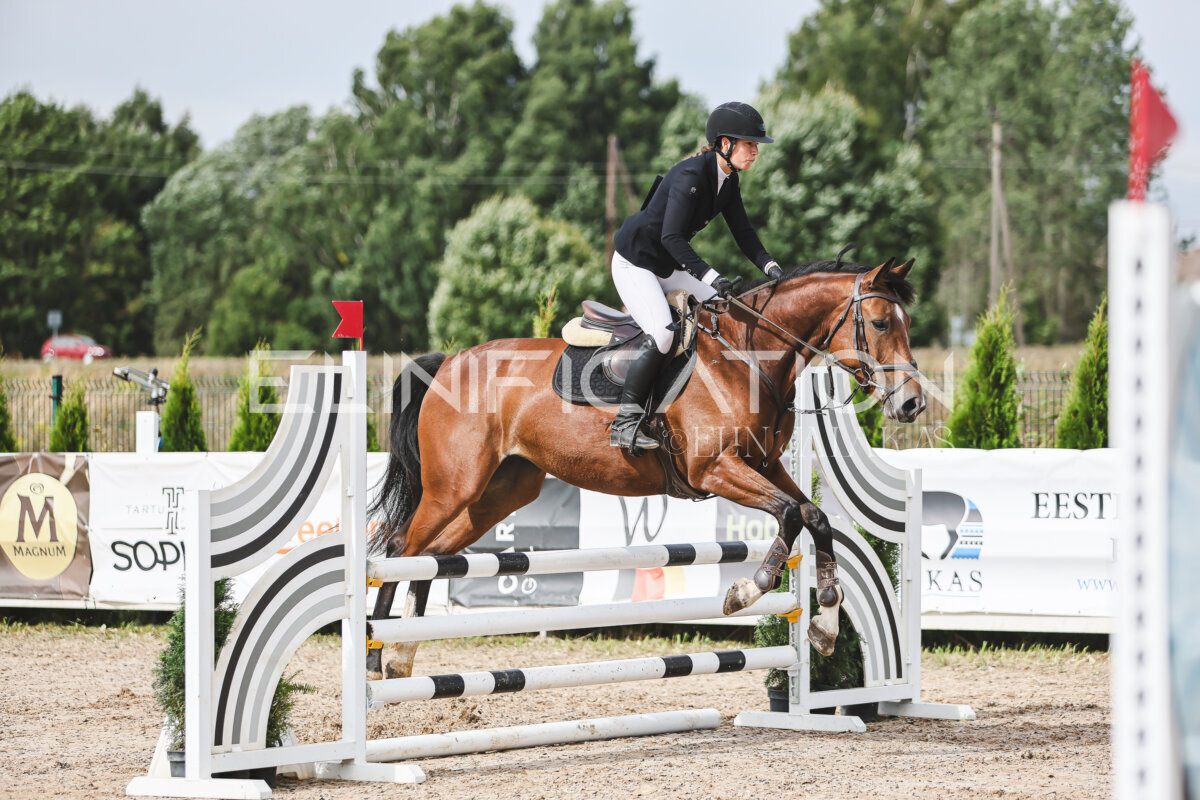 NHTS_2026_4_95cm_014