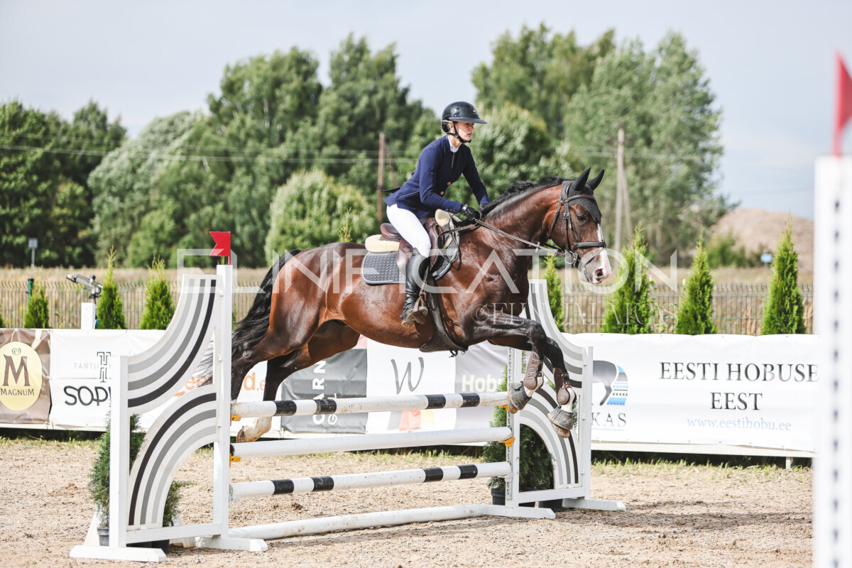 NHTS_2026_4_95cm_029