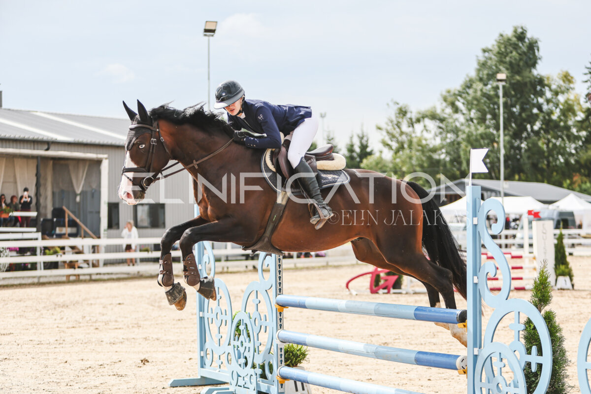 NHTS_2026_4_95cm_049
