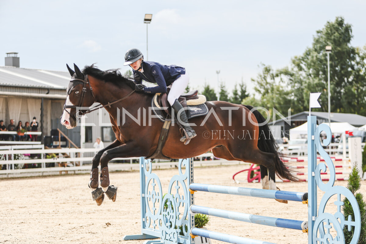 NHTS_2026_4_95cm_050