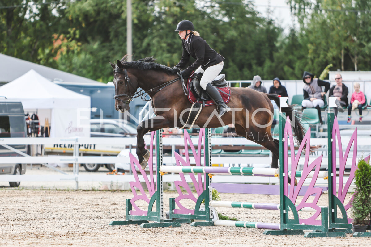 NHTS_2026_4_95cm_082