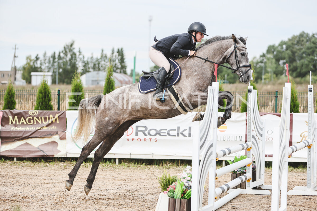 NHTS_2026_4_95cm_088