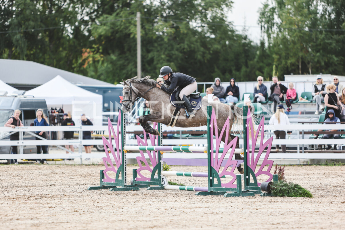 NHTS_2026_4_95cm_093