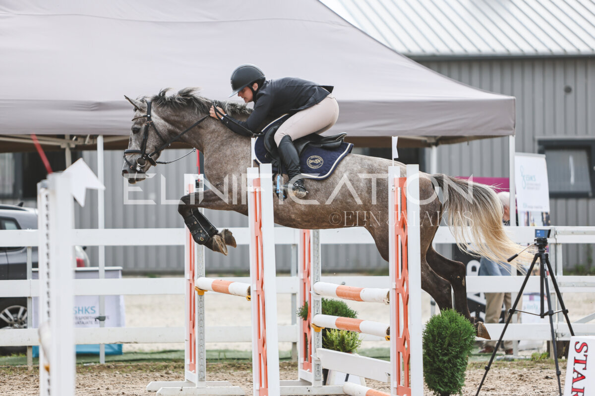 NHTS_2026_4_95cm_095