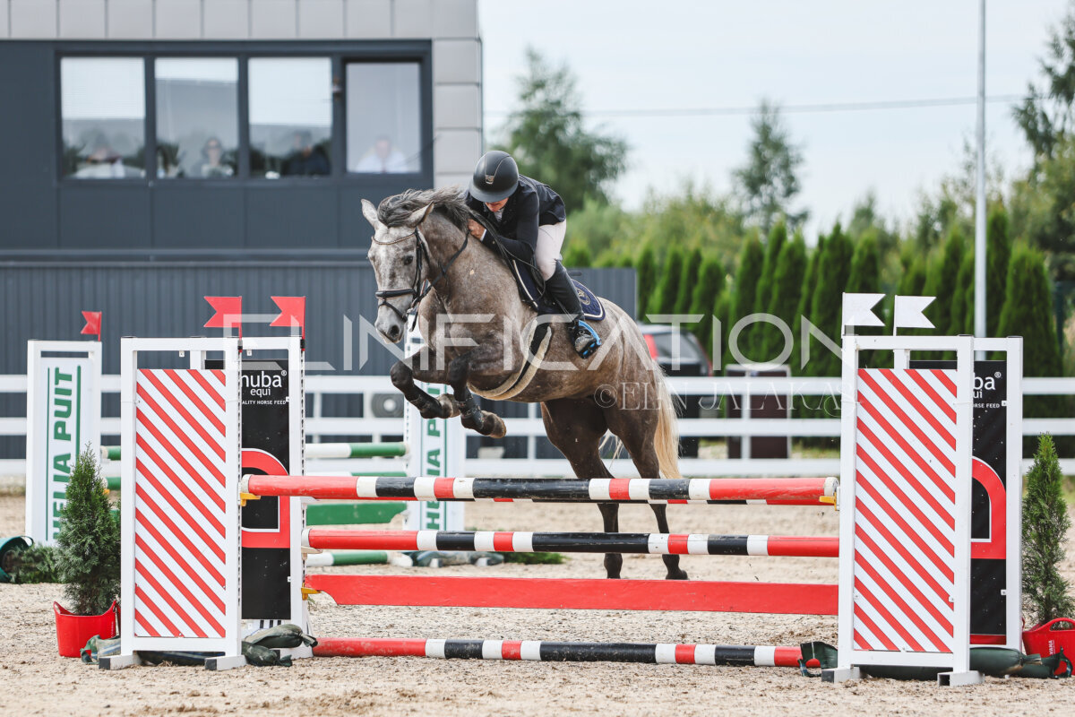 NHTS_2026_4_95cm_097