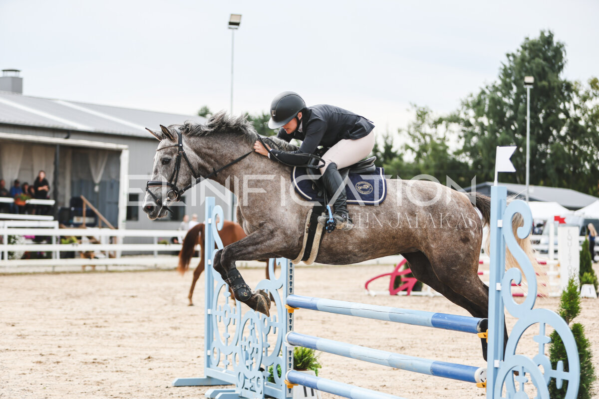 NHTS_2026_4_95cm_100