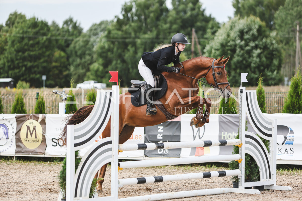 NHTS_2026_4_95cm_101