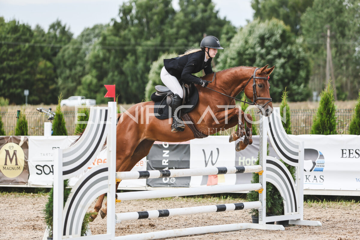 NHTS_2026_4_95cm_102