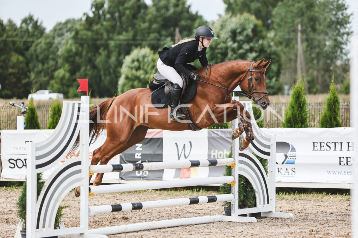 NHTS_2026_4_95cm_103